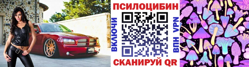 Псилоцибиновые грибы мицелий Купить закладки Саров